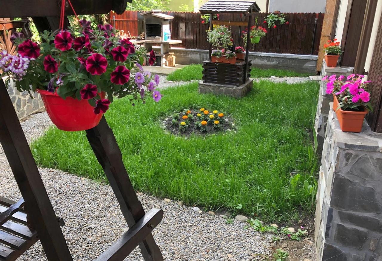 Ferienwohnung Chez Marcel Sinaia Exterior foto